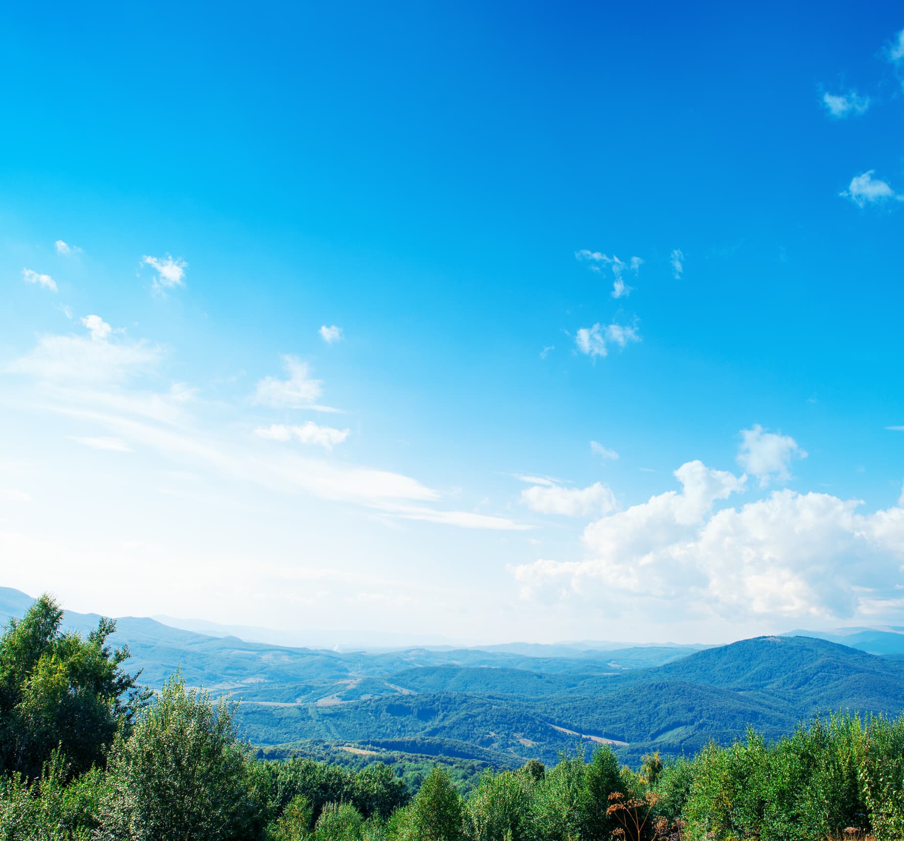 Sürdürülebilirlik